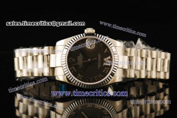 Rolex TriROL306 Datejust Grey Dial Steel Watch
