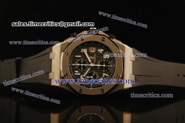 Audemars Piguet TriAP064 Royal Oak Offshore Gray Dial Titanium Watch