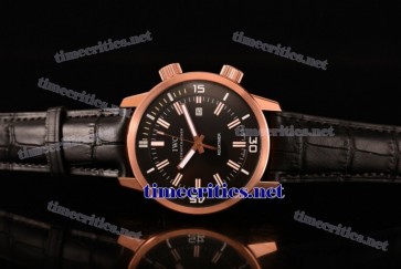 IWC TriIWC89091 Aquatimer Vintage 1967 Black Dial Black Leather Rose Gold Watch