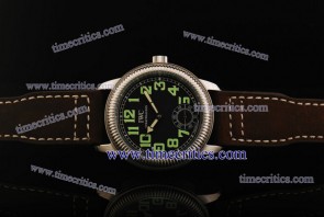 IWC TriIWCPG2495 Pilot's Vintage Steel Watch