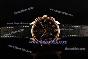 IWC TriIWCPG2496 Pilot's Vintage Grand Complication Rose Gold Watch