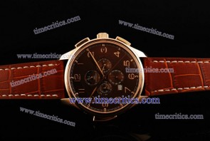 IWC TriIWCPG2497 Pilot's Vintage Grand Complication Rose Gold Watch