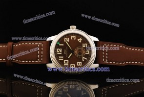 IWC TriIWCPG2503 Pilot's Vintage Steel Watch