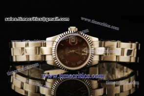 Rolex TriROL439 Datejust Brown Dial Steel Watch