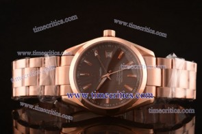 Omega TriOGA246 Seamaster Rose Gold Brown Watch