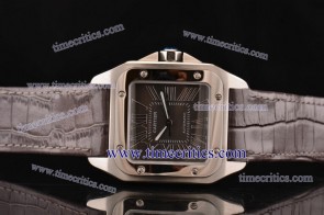 Cartier TriCAR401 Santos 100 Large Brown Leather Steel Watch