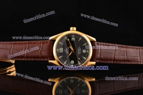 Omega TriOGA281 Seamaster Yellow Gold Black Watch