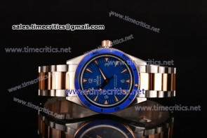 Omega TriOGA89096 Seamaster 300 Master Co-Axial Blue Dial Two Tone Watch (EF)