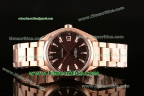Omega TriOGA8029 Seamaster Aqua Terra Brown Dial Rose Gold Watch 1:1 Original