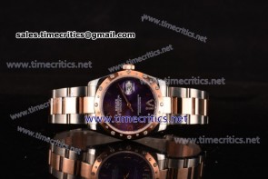 Rolex TriROX89084 Datejust Purple Dial Diamonds Bezel Two Tone Watch (BP)