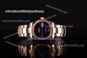 Rolex TriROX89086 Datejust Purple Dial Two Tone Watch (BP)