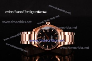 Omega TriOGA89079 Seamaster Aqua Terra 150 M Co-Axial Black Dial Full Rose Gold Watch (EF)