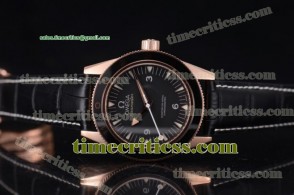 Omega TriOMG291224 Seamaster 300 Master Co-Axial Black Dial Rose Gold Watch (YF)