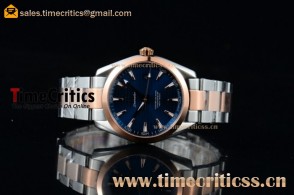 Omega TriOMG291352 Seamaster Aqua Terra 150M Blue Dial Full Two Tone Watch (YF)